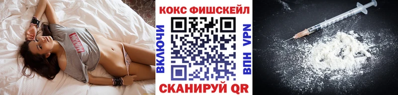 КОКАИН FishScale  Купить закладки  Николаевск 