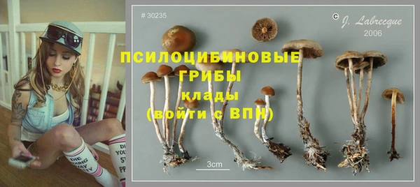 СК Инта