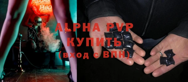 СК Инта