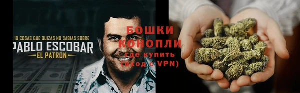 гидропоника Иннополис