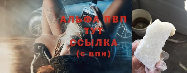 СК Инта
