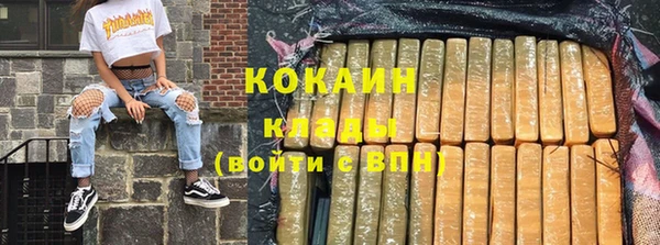 гидропоника Иннополис