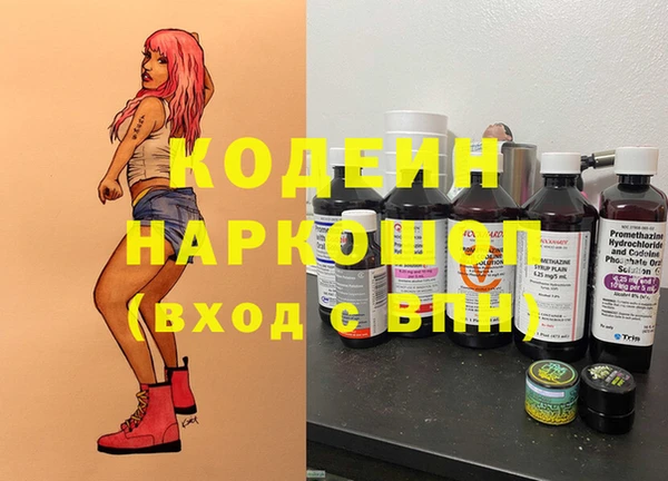 СК Инта