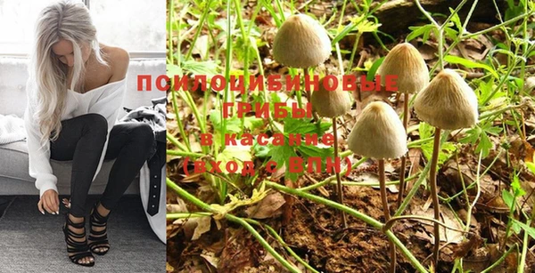 гидропоника Иннополис
