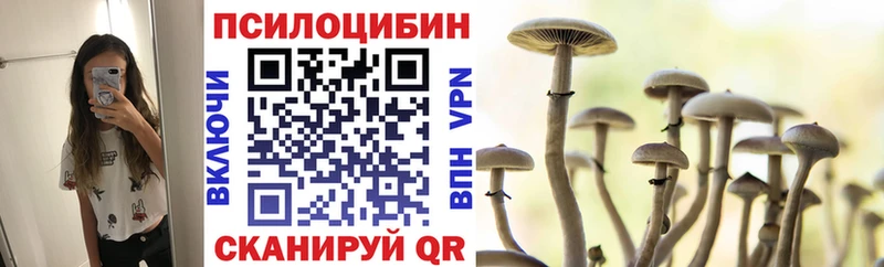 Купить где  Николаевск  Галлюциногенные грибы прущие грибы 